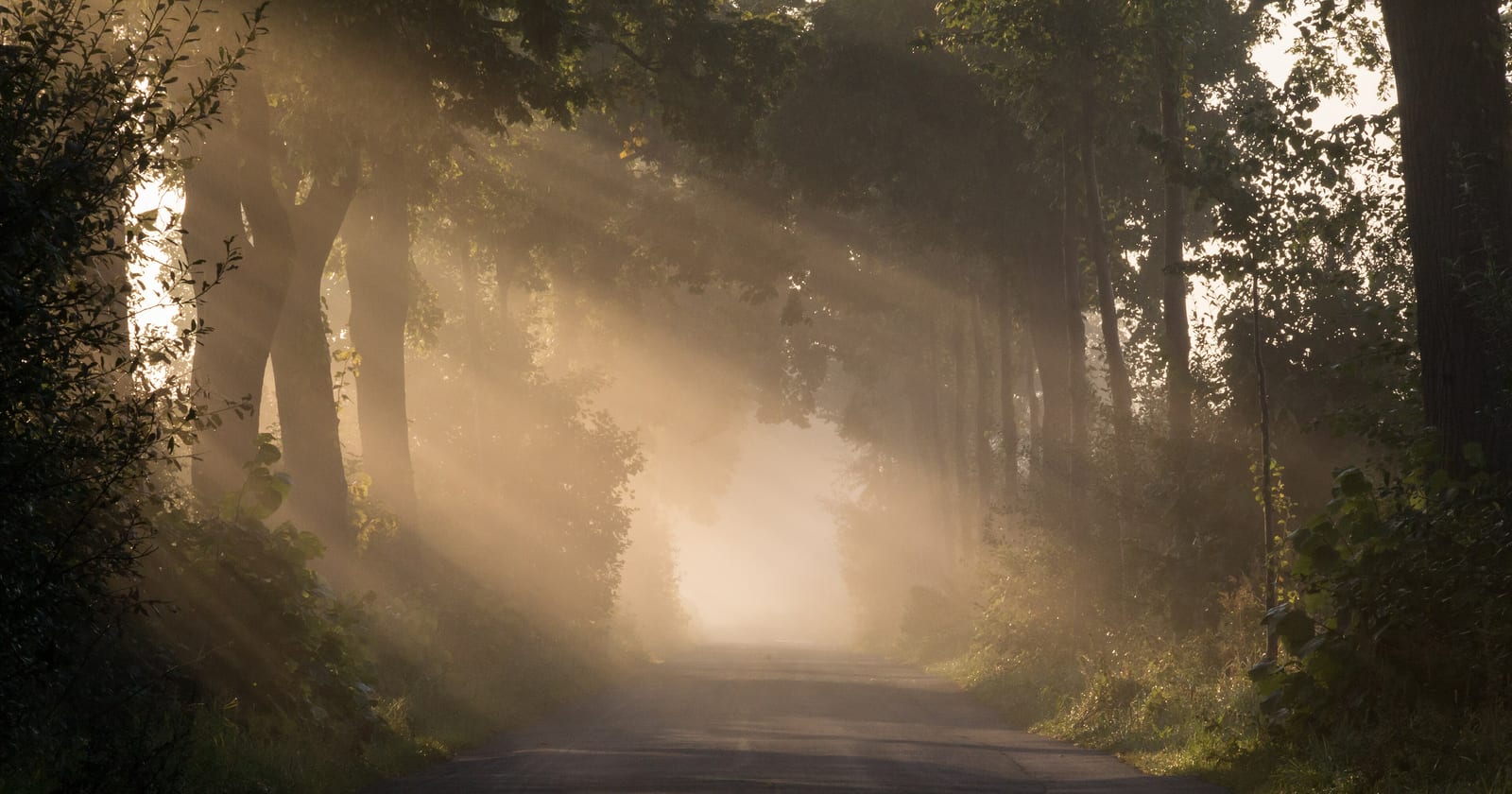 Retirement Is the Point: How Permanent Offsets and Certificates Work